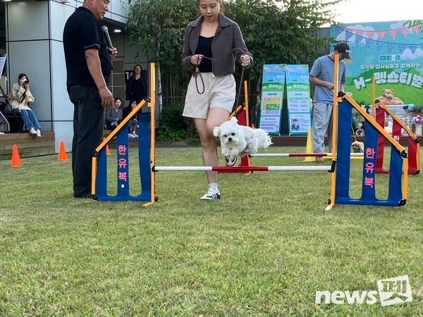 사진 한국유기동물복지협회