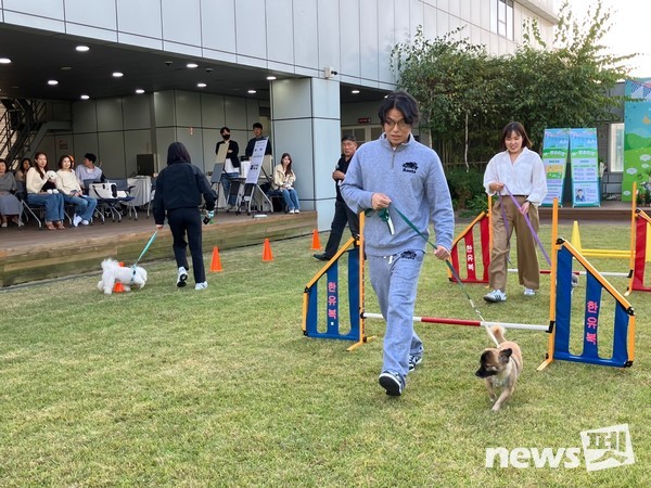 사진 한국유기동물복지협회