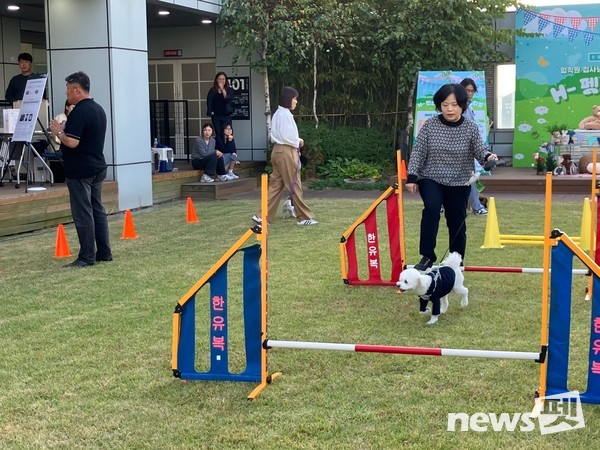 사진 한국유기동물복지협회