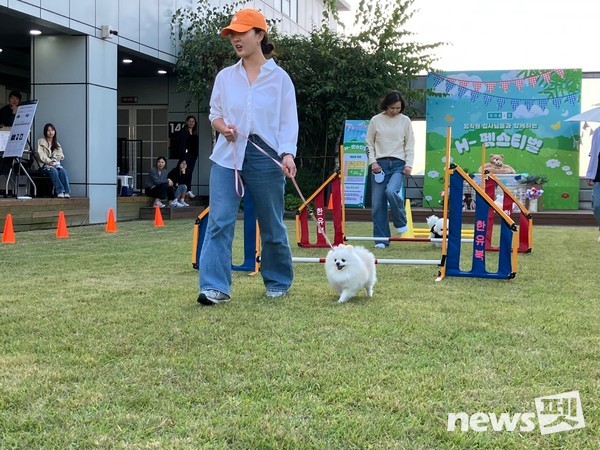 사진 한국유기동물복지협회