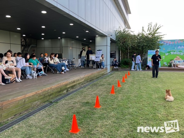 사진 한국유기동물복지협회