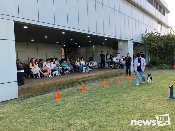 사진 한국유기동물복지협회