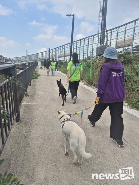 사진 둥글개봉사단