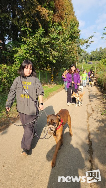 사진 둥글개봉사단