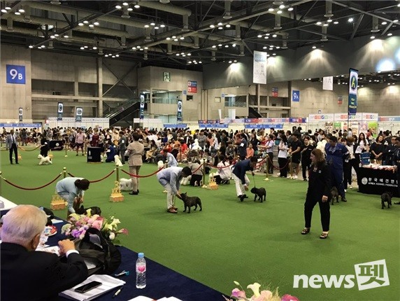 2019년 개최된 FCI A20 섹션쇼. 사진 한국애견연맹