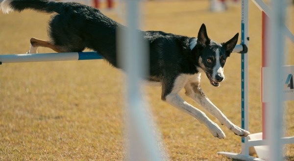 사진 더존비즈온