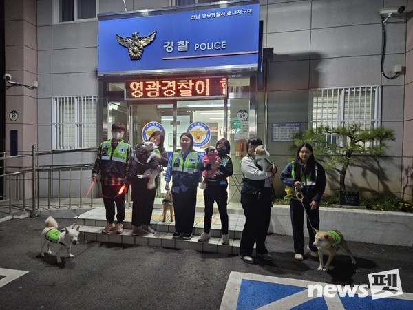 영광군 합동 순찰 모습. 사진 유기견없는도시