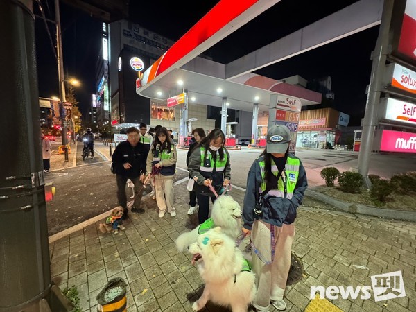 전주 합동 순찰 모습. 사진 유기견없는도시