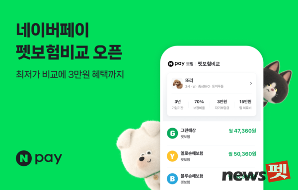 이미지 네이버페이