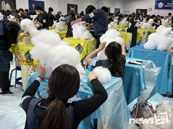 사진 한국애견협회