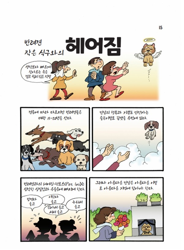 자료 서울시