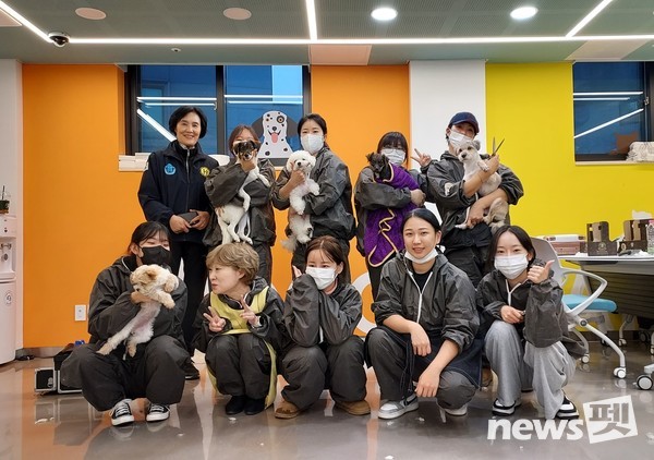 한국애견협회는 지난 19일 서울 동대문구에 위치한 ‘동물복지지원센터 동대문’을 찾아 유기견을 위한 특별한 미용 봉사활동을 진행했다. 사진 한국애견협회
