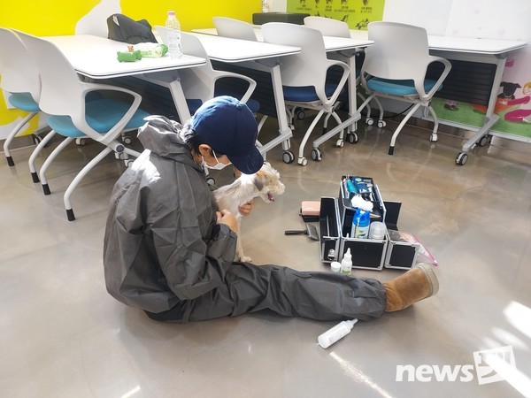 사진 한국애견협회