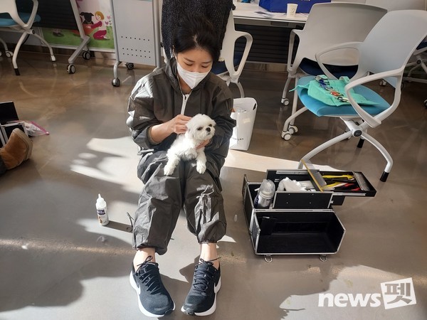 사진 한국애견협회