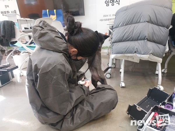 사진 한국애견협회