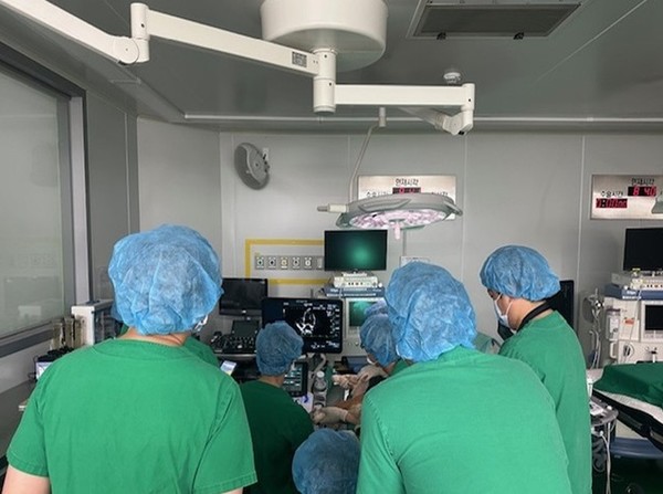 케이메디허브(대구경북첨단의료산업진흥재단) 전임상센터가 최근 대구·경북지역 임상수의사를 대상으로 심장초음파 특화 실습 교육을 실시했다. 사진 케이메디허브