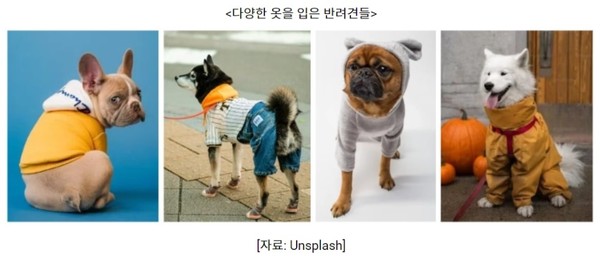 [자료 출처=코트라]