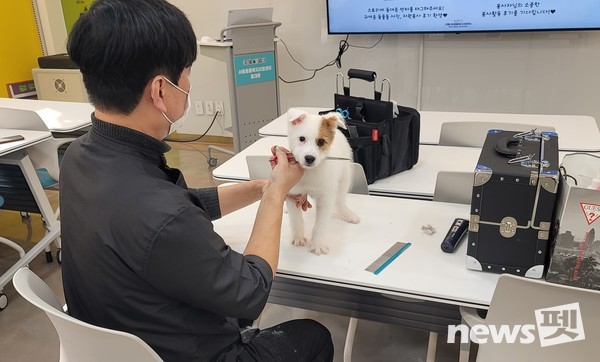 사진 한국애견협회