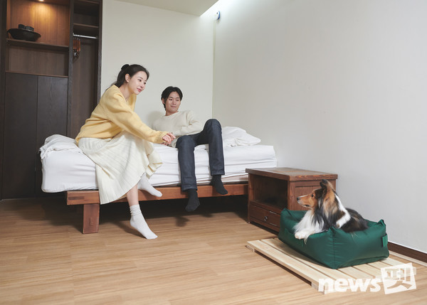 선마을 힐리펫룸, 반려견과 보호자가 함께 머물 수 있도록 설계된 객실로, 편안하고 쾌적한 환경에서 교감을 나눌 수 있는 공간이다. 사진 선마을