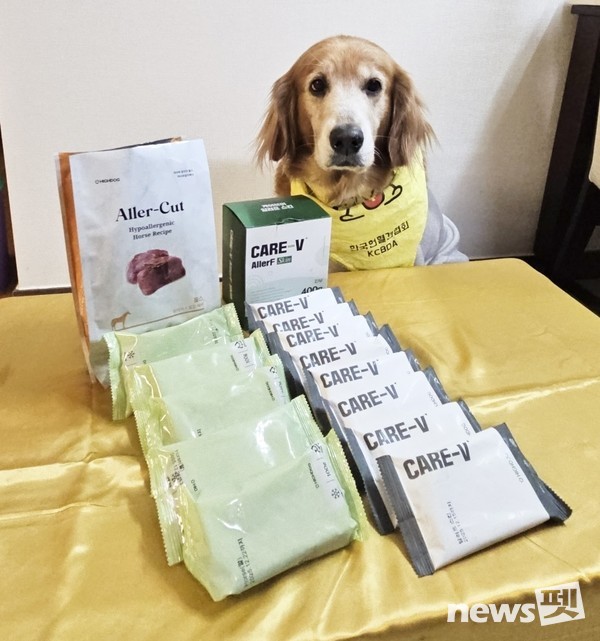 헌헐견 ‘마루’와 하이독 후원 제품 이미지. 이미지 하이독