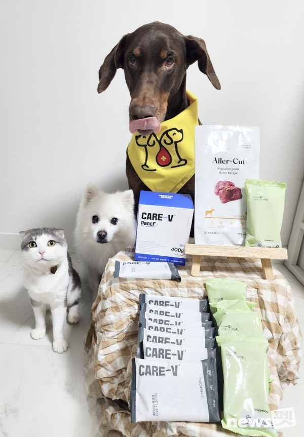 헌혈견 ‘까르띠에’와 하이독 후원 제품 이미지. 이미지 하이독