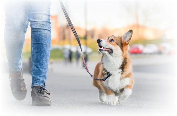 사진은 기사 내용과 관련 없음. 사진 shutterstock