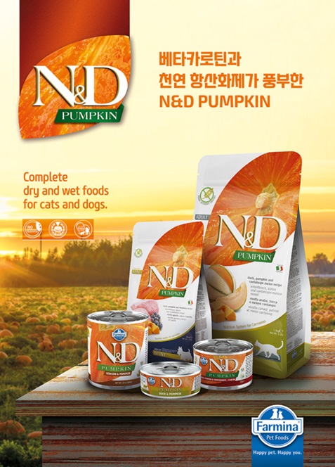 사진 파미나코리아