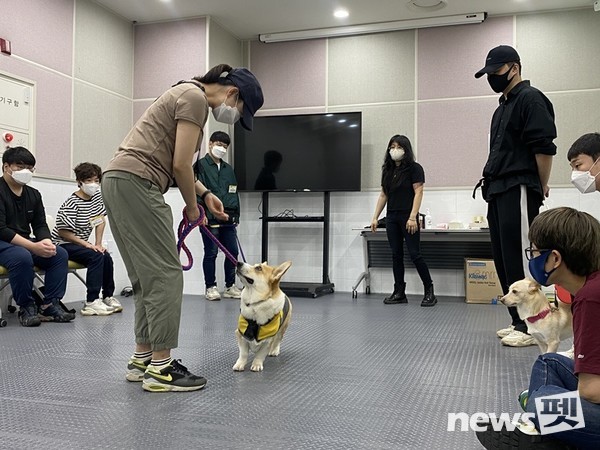 반려동물 행동교정 교육 모습. 사진 서울시