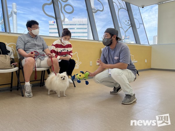 반려동물 사회화 예절 교육 모습. 사진 서울시