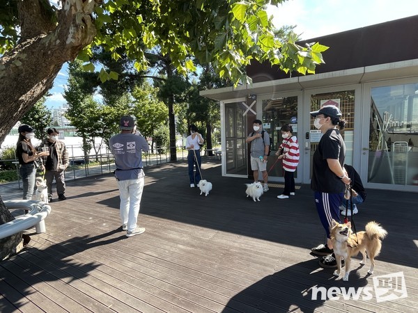 산책훈련 모습. 사진 서울시