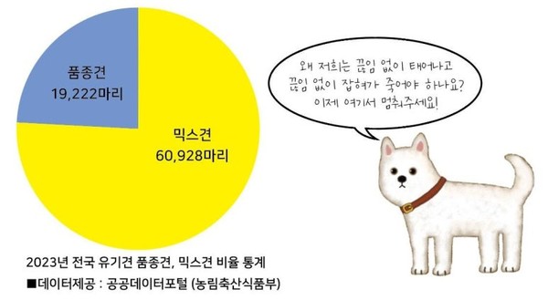 [자료=필자 제공]