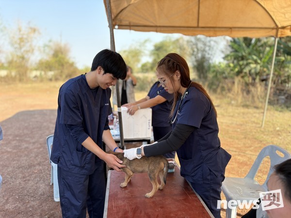 사진 국경없는수의사회
