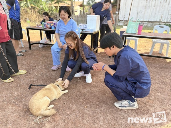 사진 국경없는수의사회