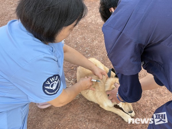사진 국경없는수의사회