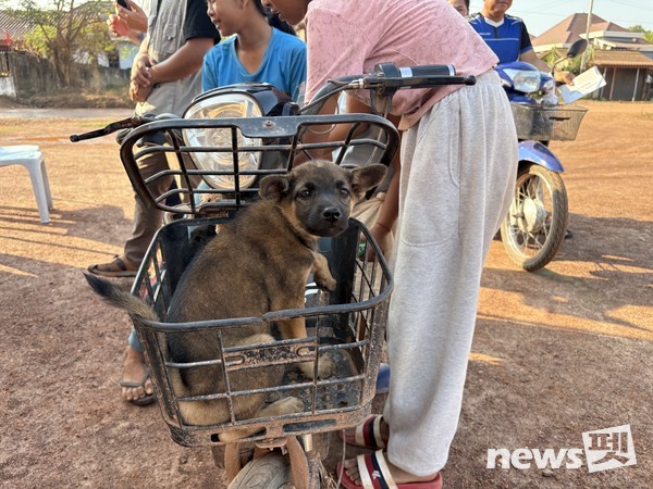 사진 국경없는수의사회