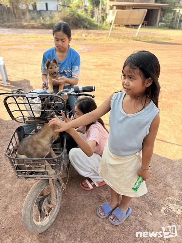 사진 국경없는수의사회