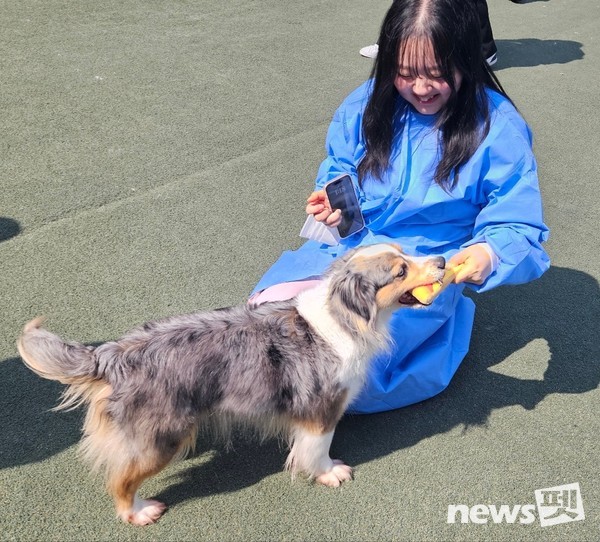 사진 한국유기동물복지협회