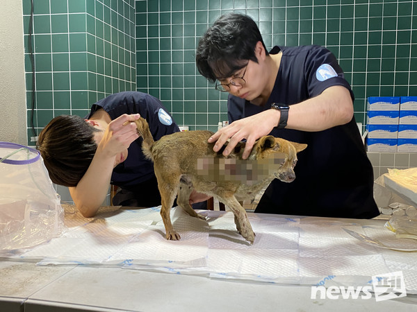 [사진=루시의 친구들]