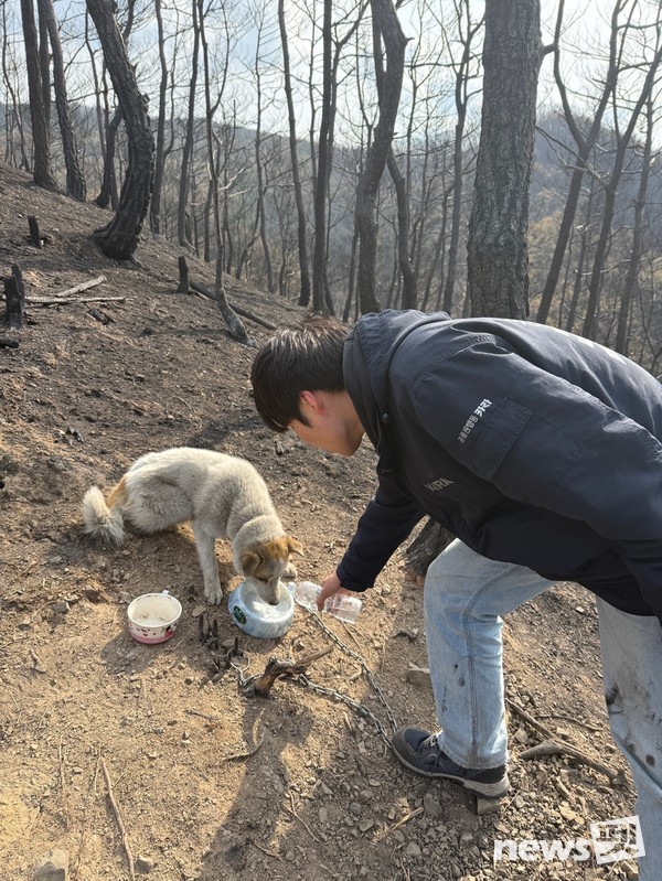 [사진=루시의 친구들]