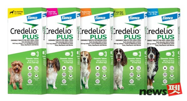 ‘크레델리오 플러스’는 7~18.5mm 최소형 츄어블로, 월 1회 투약으로 심장사상충 및 내·외부 구충을 모두 해결할 수 있다. 사진 녹십자수의약품