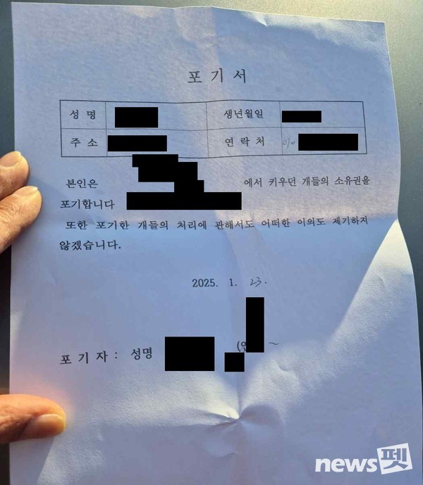 경남 거제시가 ‘동물학대 의혹이 있다’며 견주로부터 포기각서를 받은 개(품종견) 백여 마리의 소유권을 동물보호단체에 무단으로 넘겼다는 의혹이 제기됐다. 하지만 포기각서에는 동물의 수, 암수 등의 특징, 포기 사유, 포기를 받는 주체 등이 표기되지 않았을 뿐 아니라, 거제시장 직인도 없어 거제시청이 작성한 문서로 보기 어렵다는 지적이다. 사진 제보