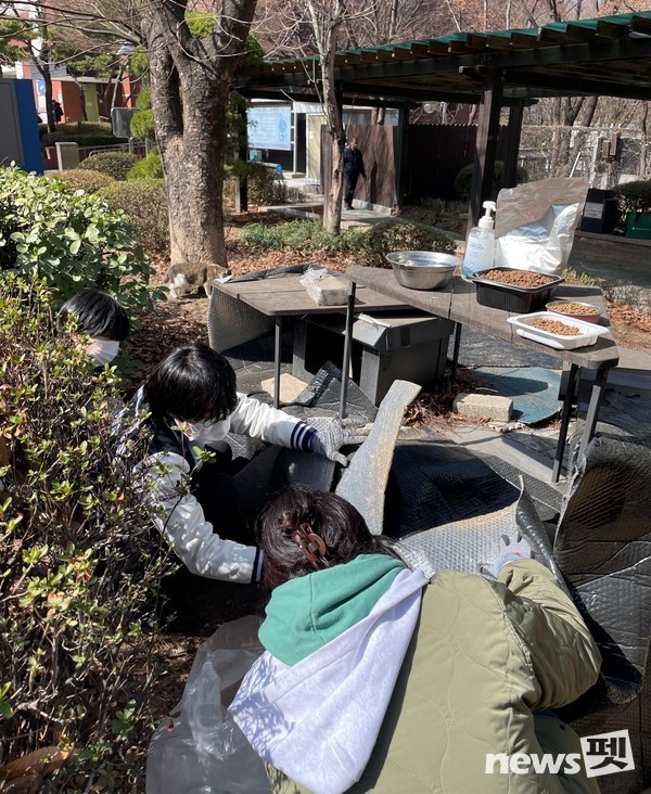 네츄럴코어는 지난달 28일 중앙대학교에 방문해 냥침반 학생들과 함께 길고양이 배식소 4곳을 정비하고 신규 배식소로 교체하는 봉사활동을 진행했다. 사진 네츄럴코어