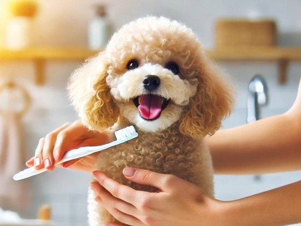 [사진=인천스카이동물메디컬센터]