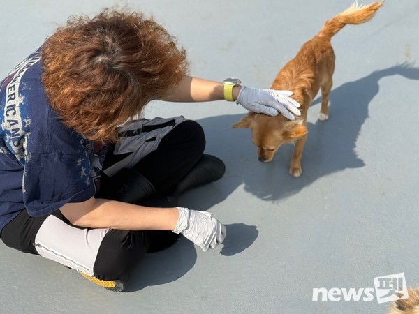 사진 광주광역시