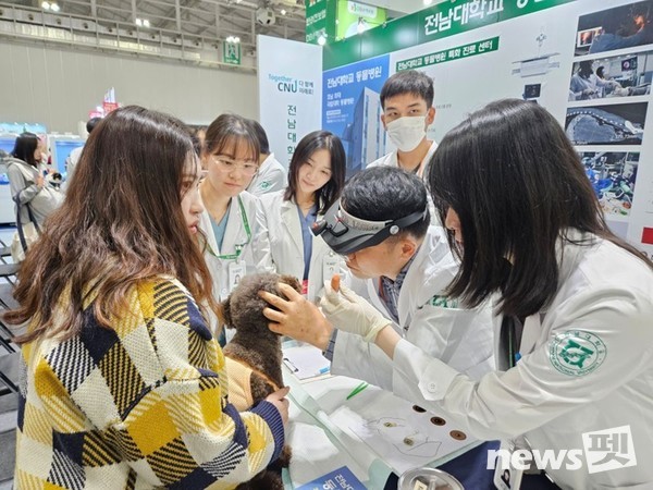 전남대학교 동물병원이 지난 4일부터 6일까지 광주 김대중컨벤션센터에서 열린 ‘K-펫페어’에 참가해 반려동물을 위한 무료 건강 상담 부스를 운영했다고 11일 밝혔다.