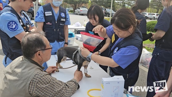 사진 국경없는수의사회