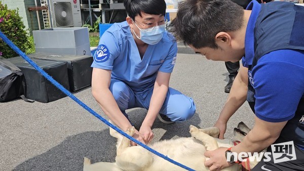 사진 국경없는수의사회