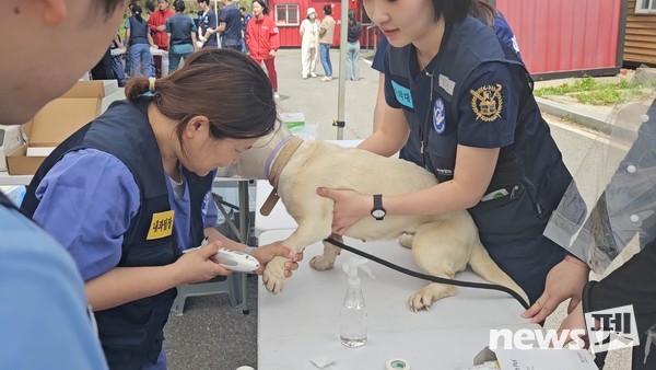 사진 국경없는수의사회