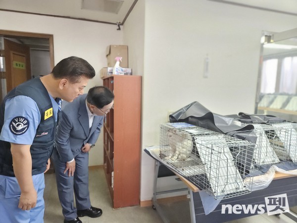 사진 국경없는수의사회