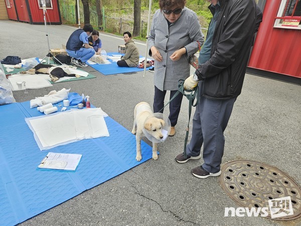 사진 국경없는수의사회
